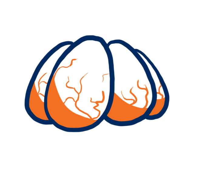 Denver Broncos Oysters Logo fabric transfer